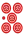 5pr